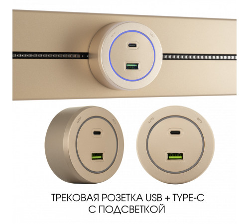 Трековая розетка Arte Milano Am-track-sockets-39 399731TS/USB-Type-C Gold