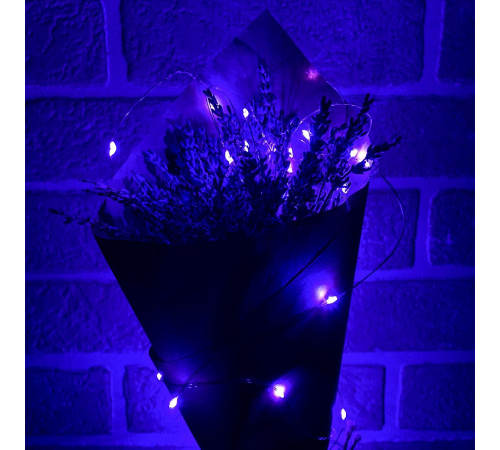 Гирлянда Uniel ULD-S0200-020/SСB/2AA PURPLE IP20 DEW UL-00010897