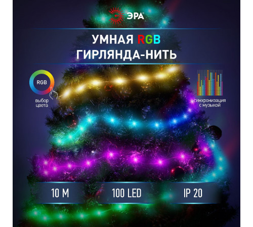 Светодиодная гирлянда Эра ERASG -01 Б0060432