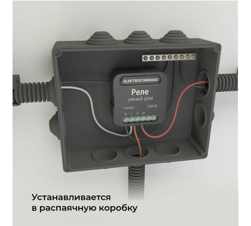 Умное одноканальное реле Elektrostandard 4690389185069 a059324 Умное одноканальное реле Elektrostandard 4690389185069 a059324