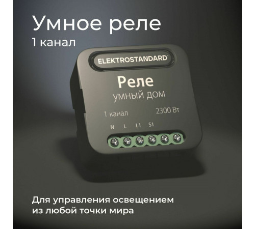 Умное одноканальное реле Elektrostandard 4690389185069 a059324 Умное одноканальное реле Elektrostandard 4690389185069 a059324