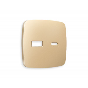 Лицевая панель для розетки 2USB тип A+C Ambrella Volt Omega OP6110