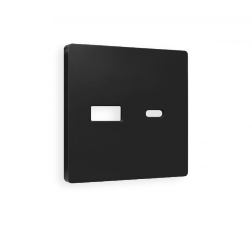 Лицевая панель для розетки 2USB тип A+C Ambrella Volt Alfa AP8110 Лицевая панель для розетки 2USB тип A+C Ambrella Volt Alfa AP8110
