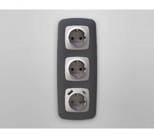 Лицевая панель для розетки с/з со шторками 2USB A+C Ambrella Volt Omega OP4100 Лицевая панель для розетки с/з со шторками 2USB A+C Ambrella Volt Omega OP4100
