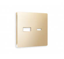 Лицевая панель для розетки 2USB тип A+C Ambrella Volt Alfa AP6110