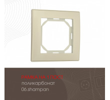 Рамка одноместная Arte Milano 503.06-1.shampan