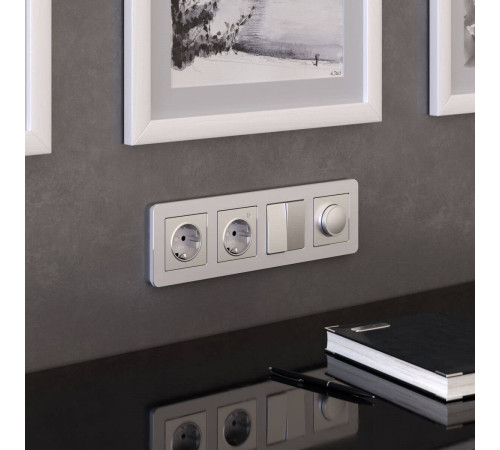 Рамка на 4 поста Werkel Platinum алюминий 4690389184505 W0042606