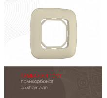 Рамка одноместная Arte Milano 505.05-1.shampan