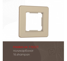Рамка одноместная Arte Milano 502.16-1.shampan
