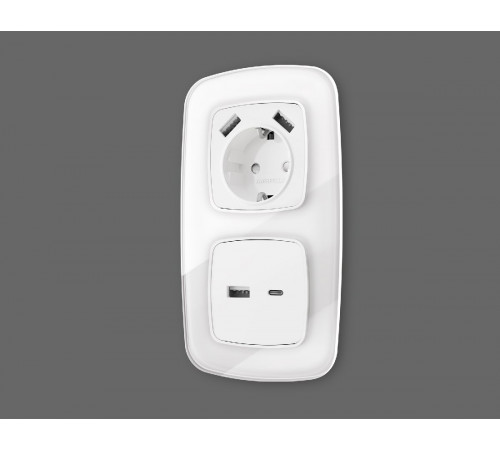 Лицевая панель для розетки 2USB A+C Ambrella Volt Omega OP1310 Лицевая панель для розетки 2USB A+C Ambrella Volt Omega OP1310