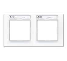 Рамка двухместная с полем для надписи Jung AC5820BFNAWW