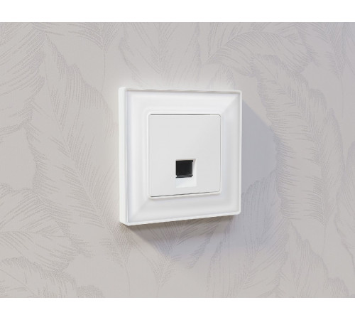 Лицевая панель для компьютерной/телефонной розетки RJ-45/RJ-11 Ambrella Volt Alfa AP1320