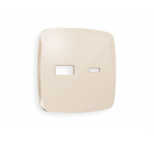 Лицевая панель для розетки 2USB тип A+C Ambrella Volt Omega OP3110
