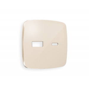 Лицевая панель для розетки 2USB тип A+C Ambrella Volt Omega OP3110