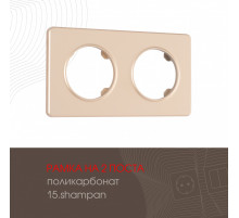 Рамка двухместная Arte Milano 502.15-2.shampan