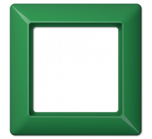 Рамка одноместная Jung AS581BFGN