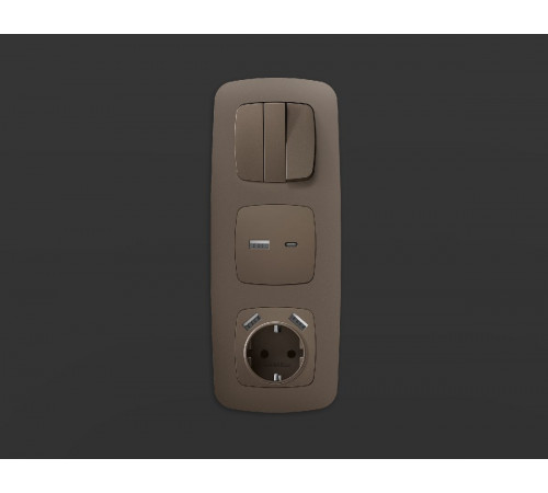 Лицевая панель для розетки с/з со шторками 2USB A+A Ambrella Volt Omega OP6390