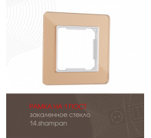 Рамка одноместная Arte Milano 503.14-1.shampan