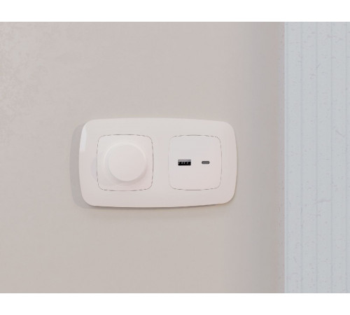 Лицевая панель для розетки 2USB тип A+C Ambrella Volt Omega OP2110