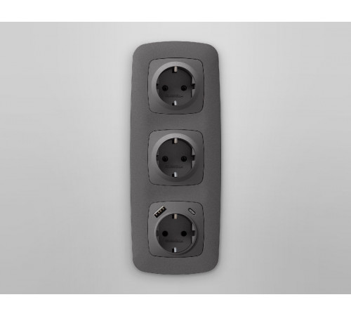 Лицевая панель для розетки с/з со шторками 2USB A+C Ambrella Volt Omega OP6600 Лицевая панель для розетки с/з со шторками 2USB A+C Ambrella Volt Omega OP6600