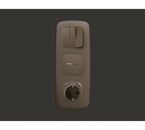 Лицевая панель для розетки 2USB тип A+C Ambrella Volt Omega OP6410