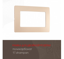 Рамка для двойной розетки Arte Milano 517.17-double.shampan
