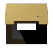 Рамка с подпружиненной крышкой для USB-механизмов Jung ME2990KLUSBC