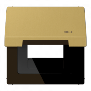 Рамка с подпружиненной крышкой для USB-механизмов Jung ME2990KLUSBC