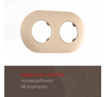 Рамка двухместная Arte Milano 502.08-2.shampan