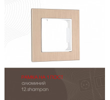 Рамка одноместная Arte Milano 503.12-1.shampan