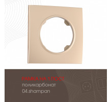 Рамка одноместная Arte Milano 502.04-1.shampan