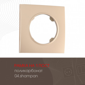 Рамка одноместная Arte Milano 502.04-1.shampan