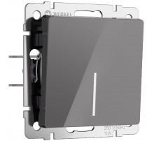 Выключатель одноклавишный проходной с подсветкой Werkel 4690389197437 W1112144 a064080