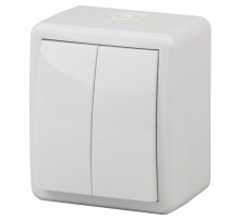 Выключатель двухклавишный ЭРА Эксперт 10AX 250V IP54 11-1404-01 Б0020675