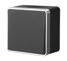 Выключатель одноклавишный влагозащищенный Werkel Gallant 4690389164040 W5010235