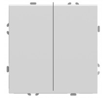 Переключатель двухклавишный Stekker RSW10-5107-01 Эмили 49869