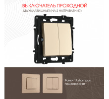 Выключатель двухклавишный проходной Arte Milano 217.32-2.shampan