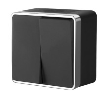 Выключатель двухклавишный влагозащищенный Werkel Gallant 4690389164286 W5020235