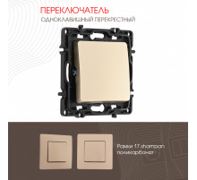 Переключатель одноклавишный перекрестный Arte Milano 217.34-1.shampan