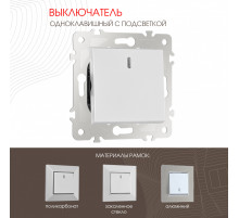 Выключатель одноклавишный с подсветкой Arte Milano 203.31-1.silver