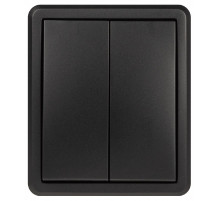 Выключатель двойной с подсветкой Эра Эксперт 11-1205-05 Б0063021