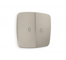 Лицевая панель для выключателя двухклавишного с подсветкой Ambrella Volt Omega OP3640