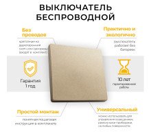 Выключатель беспроводной одноклавишный Feron TM81 41725