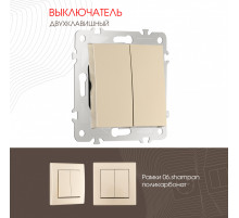 Выключатель двухклавишный Arte Milano 206.30-2.shampan