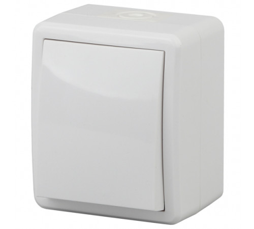 Выключатель одноклавишный ЭРА Эксперт 10AX 250V IP54 11-1401-01 Б0020669 Выключатель одноклавишный ЭРА Эксперт 10AX 250V IP54 11-1401-01 Б0020669