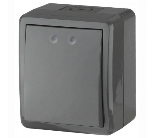 Выключатель одноклавишный ЭРА Эксперт 10AX 250V IP54 11-1401-03 Б0020670 Выключатель одноклавишный ЭРА Эксперт 10AX 250V IP54 11-1401-03 Б0020670