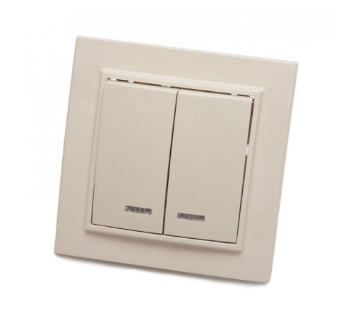 Выключатель 2-клавишный с индикатором Stekker PSW10-9002-02 250В 10А 39229 Выключатель 2-клавишный с индикатором Stekker PSW10-9002-02 250В 10А 39229