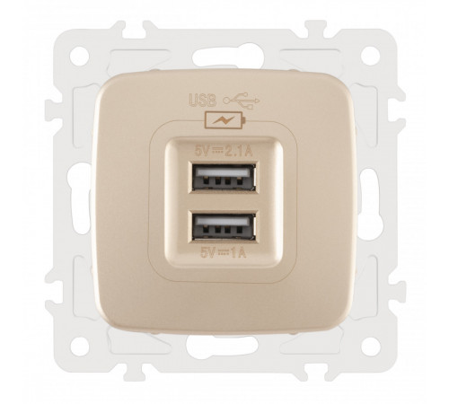 Розетка USB 2.1А+1А Arte Milano 205.46-1.shampan Розетка USB 2.1А+1А Arte Milano 205.46-1.shampan