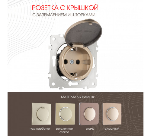Розетка с заземлением, шторками и защитной крышкой Arte Milano 202.41-1.shampan Розетка с заземлением, шторками и защитной крышкой Arte Milano 202.41-1.shampan