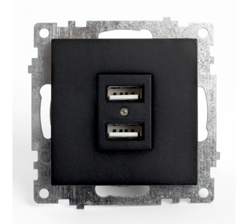 Розетка USB 2-местная Stekker Катрин 39616 Розетка USB 2-местная Stekker Катрин 39616